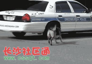 Ȯ